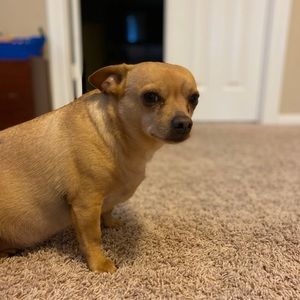 Meet your Posher, Christy